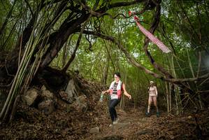 BIB: 
                            <button type="button" onclick="openModal(22178572)" class="btn btn-primary btn-sm float-right btn-popup" data-toggle="modal" data-target=".modal-high-quality">
                        <i class="fas fa-shopping-cart"></i> Add to Cart
                    </button>
                                            <button type="button" onclick="isThisMe(22178572, true)" class="btn btn-success btn-sm float-right btn-popup btn-isme hidden" data-toggle="tooltip" data-placement="bottom" title="นี่คือรูปของคุณใช่ไหม คลิกที่นี่เพื่อเอาเข้าอัลบั้ม">
                        <i class="fas fa-plus"></i> Add to album
                    </button>
                    <button type="button" onclick="isThisMe(22178572, false)" class="btn btn-warning btn-sm float-right btn-popup btn-isnotme hidden">
                        <i class="fas fa-ban"></i> Remove from album
                    </button>